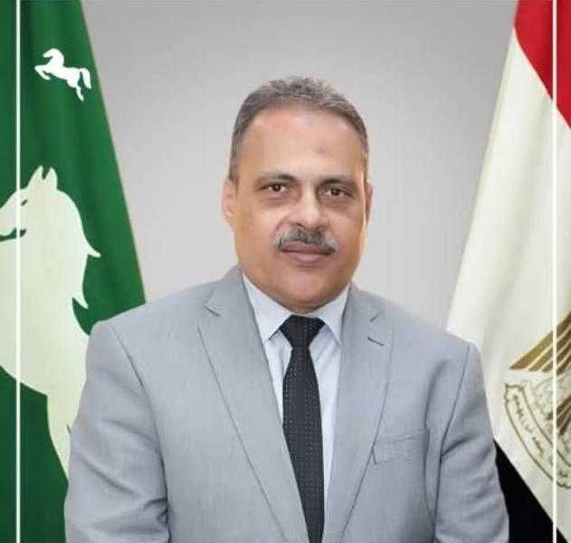 محافظ الشرقية يتابع أعمال إنشاء حاجز نيو جيرسي بنزلة الطريق الأوسطي محافظ الشرقية يتابع أعمال إنشاء حاجز نيو جيرسي بنزلة الطريق الأوسطي