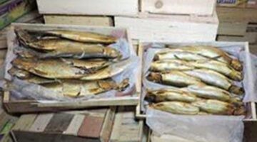 استعدادا لشم النسيم.. حملة تضبط 2.5 طن رنجة فاسدة في الغربية