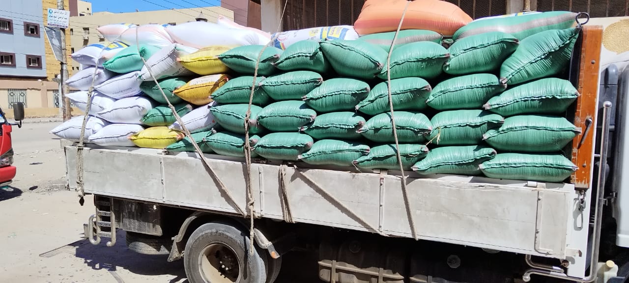توريد 7185 طن قمح بكفر الشيخ منذ بداية الموسم توريد 7185 طن قمح بكفر الشيخ منذ بداية الموسم