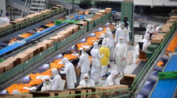 السعودية تستحوذ على 9 % من الصادرات الزراعية المصرية خلال 2024