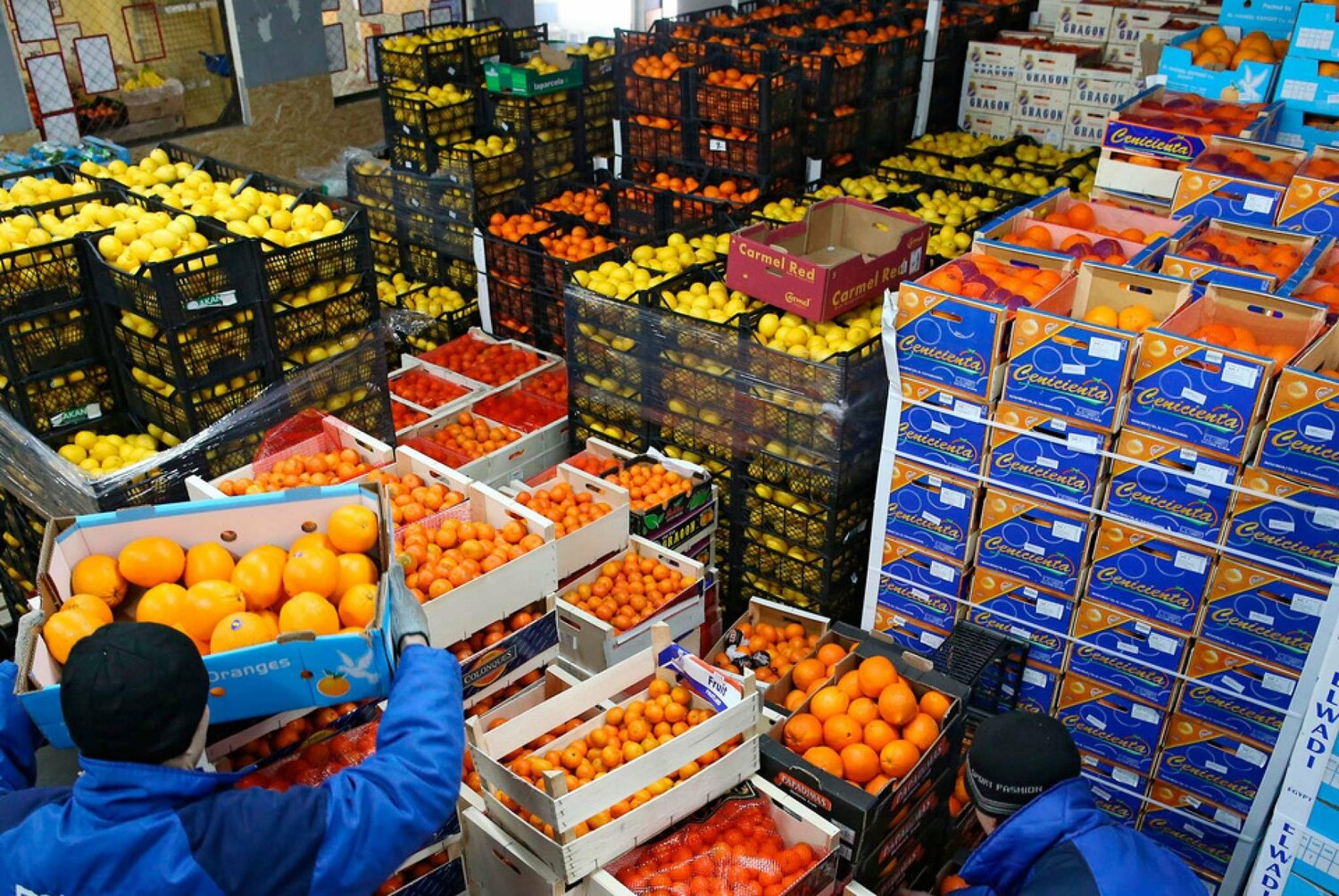 أكبر مستورد للمصنعات المصرية.. السعودية تستحوذ على 8% من الصادرات الغذائية أكبر مستورد للمصنعات المصرية.. السعودية تستحوذ على 8% من الصادرات الغذائية