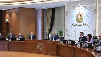 رئيس الوزراء: كل دولة ستعمل حاليا على كيفية الصمود والبقاء وتحقيق مصلحتها رئيس الوزراء: كل دولة ستعمل حاليا على كيفية الصمود والبقاء وتحقيق مصلحتها