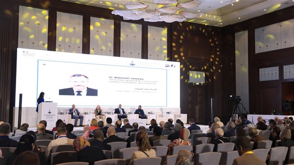 ملتقى الجامعات المصرية الفرنسية.. جلسة نقاشية حول تعزيز قدرات البحث العلمي والابتكار ملتقى الجامعات المصرية الفرنسية.. جلسة نقاشية حول تعزيز قدرات البحث العلمي والابتكار