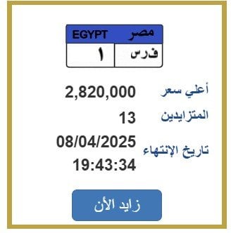 وصل سعرها 3 ملايين جنيه.. مزاد ناري على لوحة أرقام «فرس 1» وصل سعرها 3 ملايين جنيه.. مزاد ناري على لوحة أرقام «فرس 1»