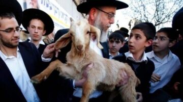 محافظة القدس: الدعوات الإسرائيلية لذبح قرابين بالأقصى “تطور خطير”