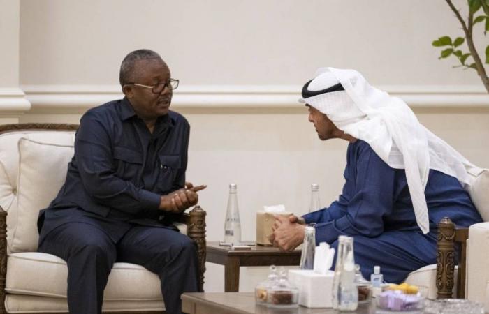 محمد بن زايد يبحث مع رئيس غينيا بيساو علاقات التعاون بين البلدين محمد بن زايد يبحث مع رئيس غينيا بيساو علاقات التعاون بين البلدين