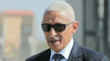 محافظ شمال سيناء: ماكرون كان مهتما بتفاصيل حكايات المصابين الفلسطينيين بمستشفى العريش