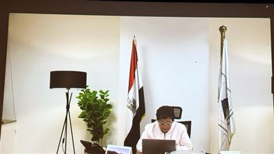 نائب وزير الصحة تشارك افتراضيًا في الدورة 58 للسكان والتنمية بالأمم المتحدة وتستعرض التجربة المصرية في تنمية الأسرة