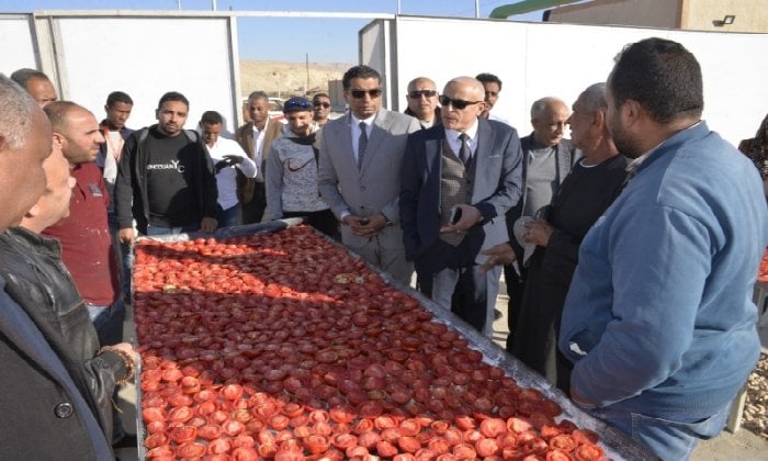 الأقصر تستعد لإطلاق صرح صناعي غذائي جديد لتجفيف الطماطم بـ «الكيمان» الأقصر تستعد لإطلاق صرح صناعي غذائي جديد لتجفيف الطماطم بـ «الكيمان»