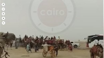 القبض على 10 خيالة لتشاجرهم بسلاح أبيض وعصي بالأهرامات