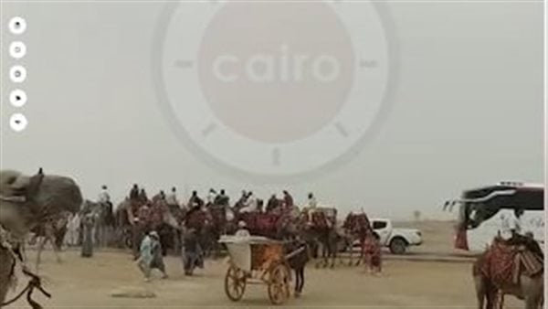 القبض على 10 خيالة لتشاجرهم بسلاح أبيض وعصي بالأهرامات القبض على 10 خيالة لتشاجرهم بسلاح أبيض وعصي بالأهرامات