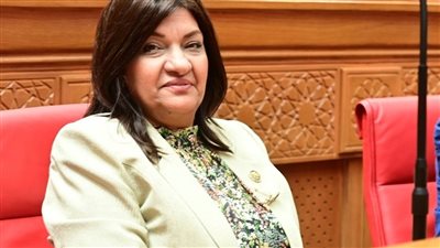 تحرك من البرلمان تجاه نقص الأيدي العاملة والمهنيين في الهيئات الرقابية الصناعية