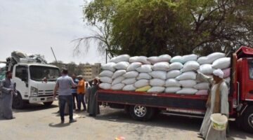 أسوان تستعد لاستقبال 6 آلاف طن قمح بصومعة الجوزيرة.. والمحافظ يؤكد التسهيلات للمزارعين