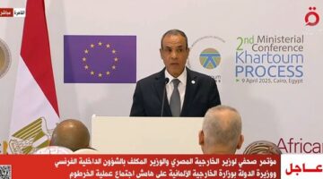 وزير الخارجية: مصر تدفع بجهود مكافحة تهريب المهاجرين والاتجار بالبشر لآفاق طموحة
