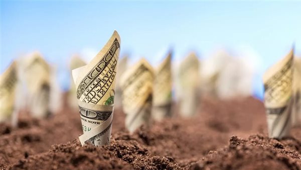 الحكومة توافق على تخصيص قطع أراضي لشركات بنظام البيع بالدولار الأمريكي الحكومة توافق على تخصيص قطع أراضي لشركات بنظام البيع بالدولار الأمريكي