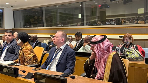“الألفى” تستعرض أمام الدورة الـ58 للسكان والتنمية بالأمم المتحدة التجربة المصرية في تنمية الأسرة “الألفى” تستعرض أمام الدورة الـ58 للسكان والتنمية بالأمم المتحدة التجربة المصرية في تنمية الأسرة