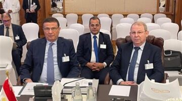 «توفير فرص عمل» على طاولة اجتماع الهيئة العربية للاستثمار بالكويت |تفاصيل