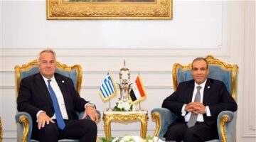 وزير الخارجية: يجب التركيز على التنمية المستدامة للحد من الهجرة غير الشرعية