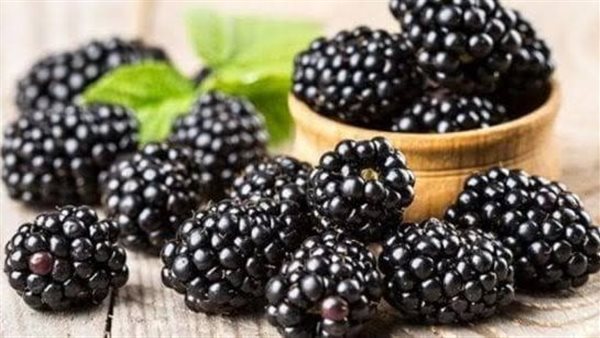 التوت البري| فوائده الصحية وتأثيره الإيجابي على الجسم التوت البري| فوائده الصحية وتأثيره الإيجابي على الجسم