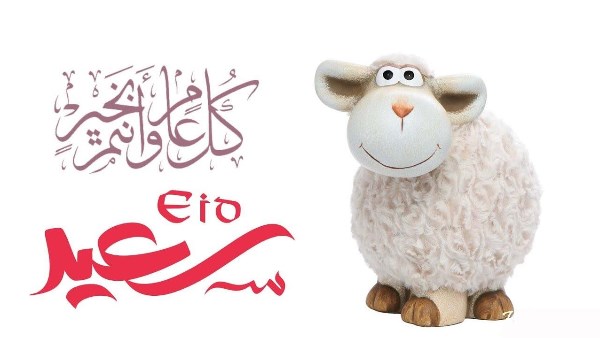 إجازة طويلة.. موعد وقفة عيد الأضحى 2025 فلكياً إجازة طويلة.. موعد وقفة عيد الأضحى 2025 فلكياً