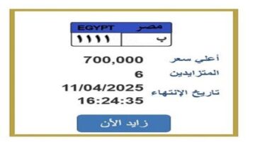 سعرها وصل 700 ألف جنيه.. تزايد ناري على لوحة سيارة مميزة «اعرف الخطوات»