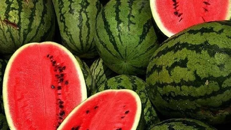 البطيخ المغشوش مقابل الأصلي … نصائح انتبه إليها قبل الشراء البطيخ المغشوش مقابل الأصلي … نصائح انتبه إليها قبل الشراء