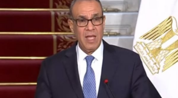 وزير الخارجية: مصر ترفض تهجير الفلسطينيين تحت أي مسمى أو ذريعة