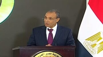 وزير الخارجية: الشراكة مع المجر قائمة على أسس قوية من الاحترام المتبادل