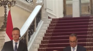 وزير الخارجية: نؤكد على رفض القاطع لتهجير الفلسطينيين من غزة