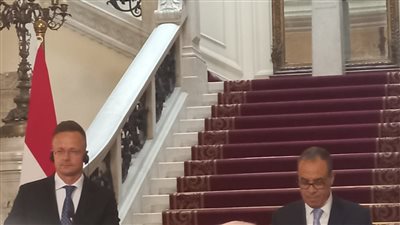 وزير الخارجية: نؤكد على رفض القاطع لتهجير الفلسطينيين من غزة وزير الخارجية: نؤكد على رفض القاطع لتهجير الفلسطينيين من غزة