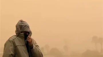 3 نصائح مهمة لمرضى الحساسية والجيوب الأنفية للتعامل مع التقلبات الجوية (فيديو)
