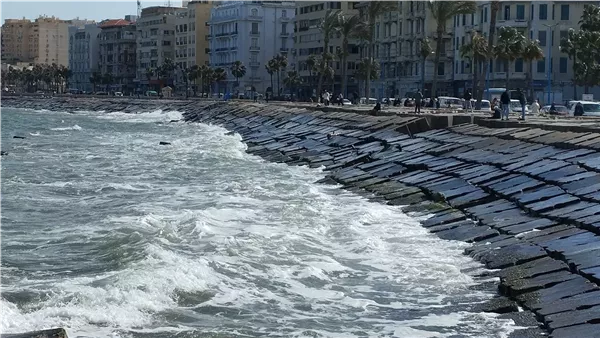 شحن وتفريغ 44 سفينة بالهيئة العامة لميناء الإسكندرية خلال 24 ساعة شحن وتفريغ 44 سفينة بالهيئة العامة لميناء الإسكندرية خلال 24 ساعة