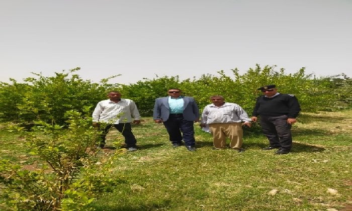 الاقصر تسترد 24 ألف متر مربع من الأراضي الزراعية المتعدى عليها بأرمنت الاقصر تسترد 24 ألف متر مربع من الأراضي الزراعية المتعدى عليها بأرمنت