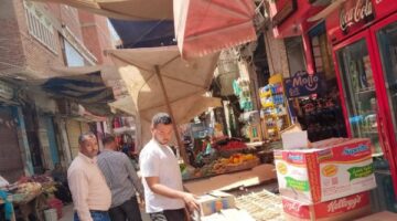 تحرير 347 مخالفة وإزالة الإعلانات غير المرخصة في المنيا
