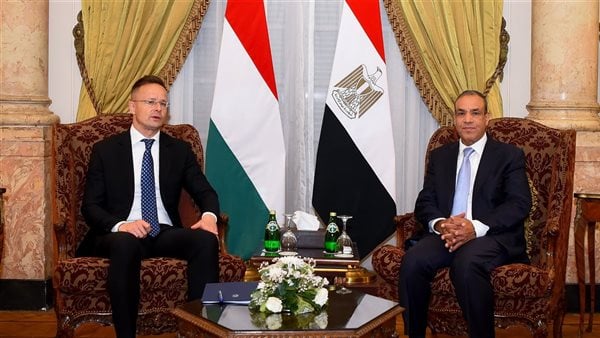 وزير الخارجية ونظيره المجري يعقدان جلسة مباحثات في القاهرة وزير الخارجية ونظيره المجري يعقدان جلسة مباحثات في القاهرة
