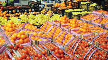 تجاوز صادرات مصر الزراعية 2.7 مليون طن في الربع الأول من عام 2025.. والموالح في المقدمة