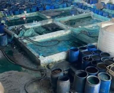 ضبط مصنع لتصنيع وإنتاج المخصبات والأسمدة الزراعية بدون ترخيص في القليوبية ضبط مصنع لتصنيع وإنتاج المخصبات والأسمدة الزراعية بدون ترخيص في القليوبية