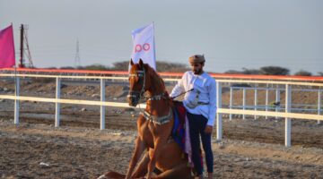 ١٥٠ فارسًا يشاركون في مهرجان الخيل التقليدي بشمال الباطنة