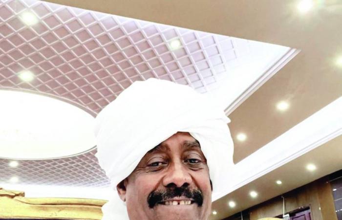 الاستثمارات الإماراتية في السودان ركيزة أساسية لتعزيز التعاون الاقتصادي