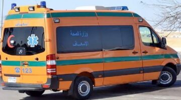 بعد تناولها قطعة حشيش.. الاستعلام عن الحالة الصحية لطفلة تعرضت للتسمم بشبرا