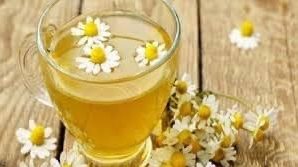 بالرغم من فوائده .. مخاطر غير متوقعة تهددك عند تناول البابونج| اعرف تفاصيلها