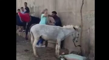 بعد انتشار الفيديو.. سائحة تضرب شابًا في واقعة غريبة بسبب حمار
