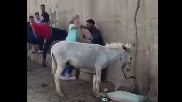 بعد انتشار الفيديو.. سائحة تضرب شابًا في واقعة غريبة بسبب حمار بعد انتشار الفيديو.. سائحة تضرب شابًا في واقعة غريبة بسبب حمار