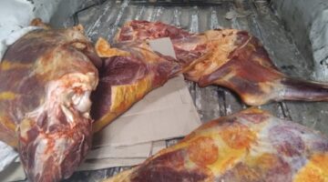 ضبط 329 كيلو لحوم غير صالحة بكفر الشيخ
