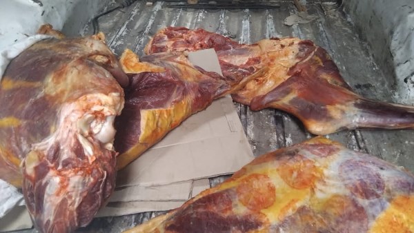 ضبط 329 كيلو لحوم غير صالحة بكفر الشيخ