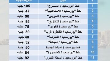 أسعار السولار والبنزين.. محافظة بورسعيد تعتمد تعريفة الركوب الجديدة