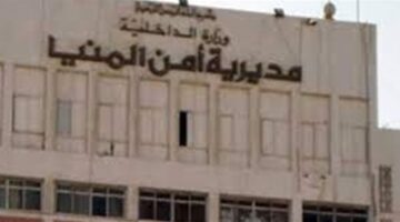 مريض نفسي ينهي حياة والدته بحجر في المنيا