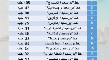 بعد زيادة أسعار البنزين.. ننشر تعريفة الركوب الجديدة بين بورسعيد والمحافظات الأخرى