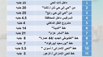 بعد زيادة أسعار البنزين.. ننشر تعريفة الركوب الجديدة لـ"السرفيس" في بورسعيد