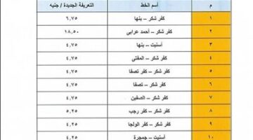 عقب تحريك أسعار المواد البترولية.. أسعار تعريفة الركوب الجديدة لسيارات الأجرة الخطوط الداخلية والخارجية بالقليوبية